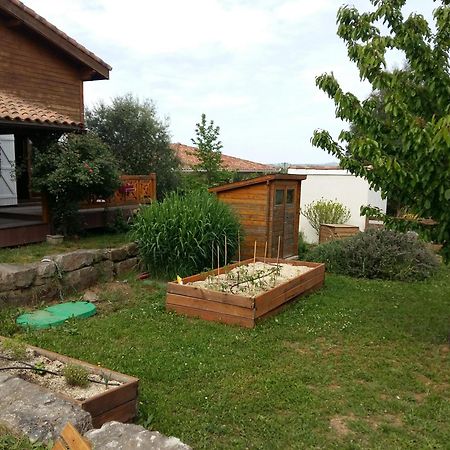 Ecolodge Bellevue ALBI Esterno foto