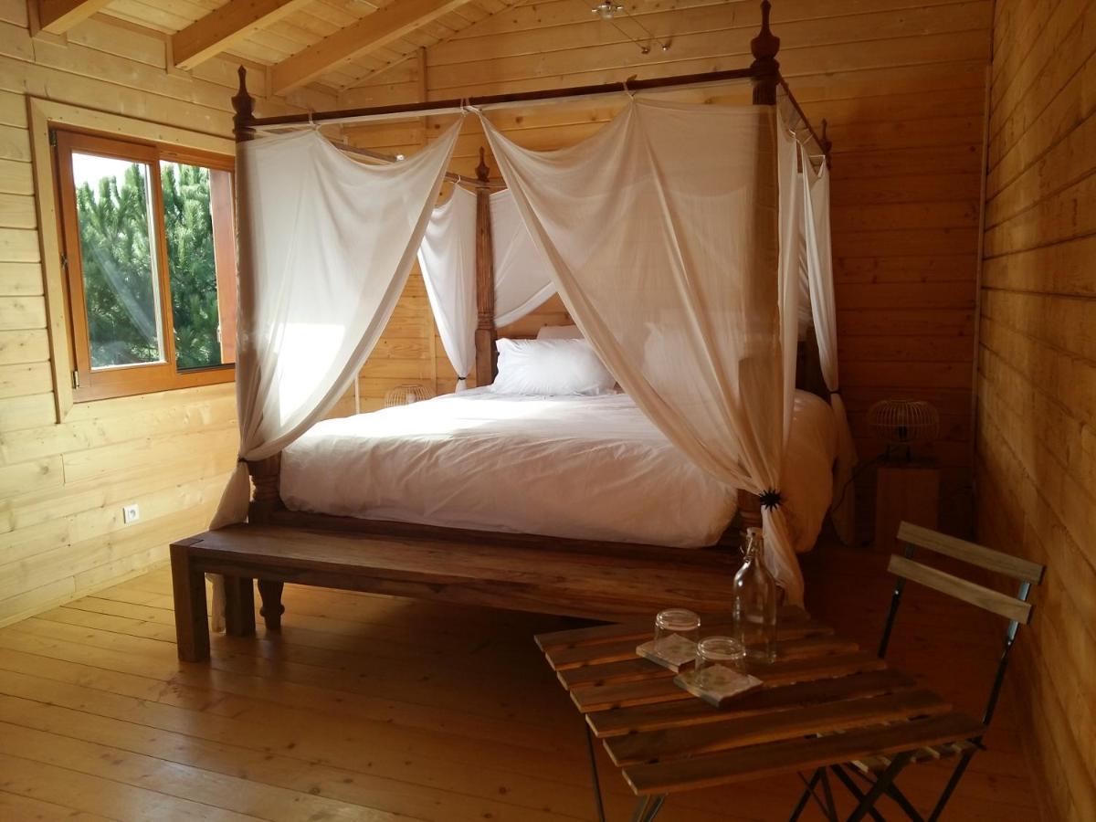 Ecolodge Bellevue ALBI Esterno foto